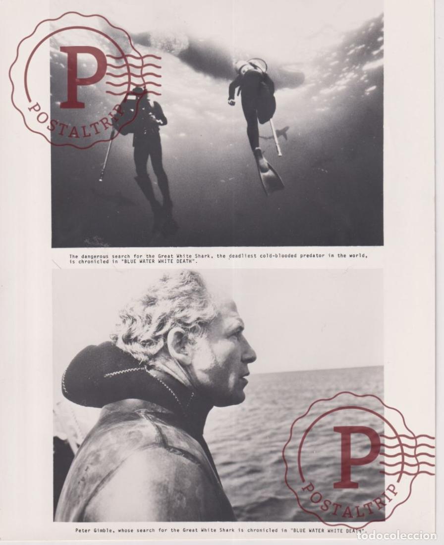 Cine: BLUE WATER WHITE DEATH. ACTOR ACTRESS. ACTRIZ CINEMA. CINE. PHOTO FOTO +-25.5X20.5CM