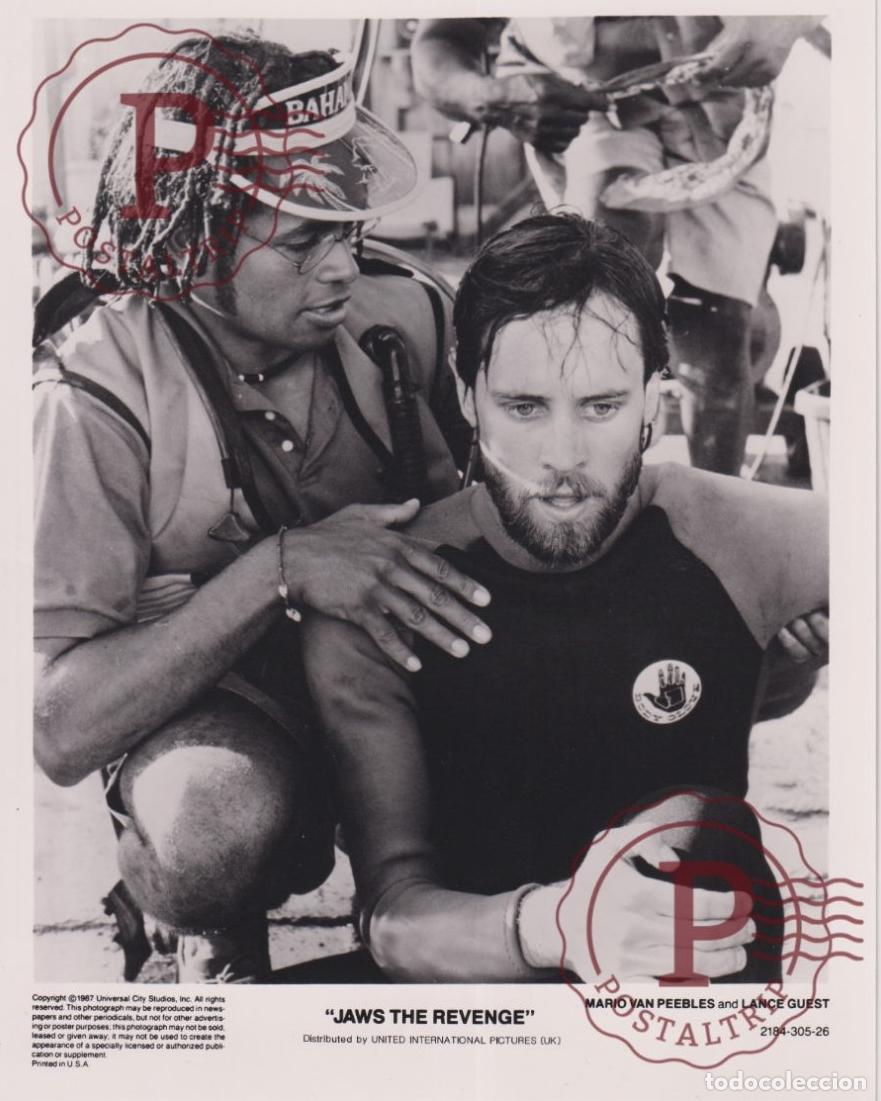 Cine: JAWS THE REVENGE. ACTOR ACTRESS. ACTRIZ CINEMA. CINE. PHOTO FOTO +-25.5X20.5CM