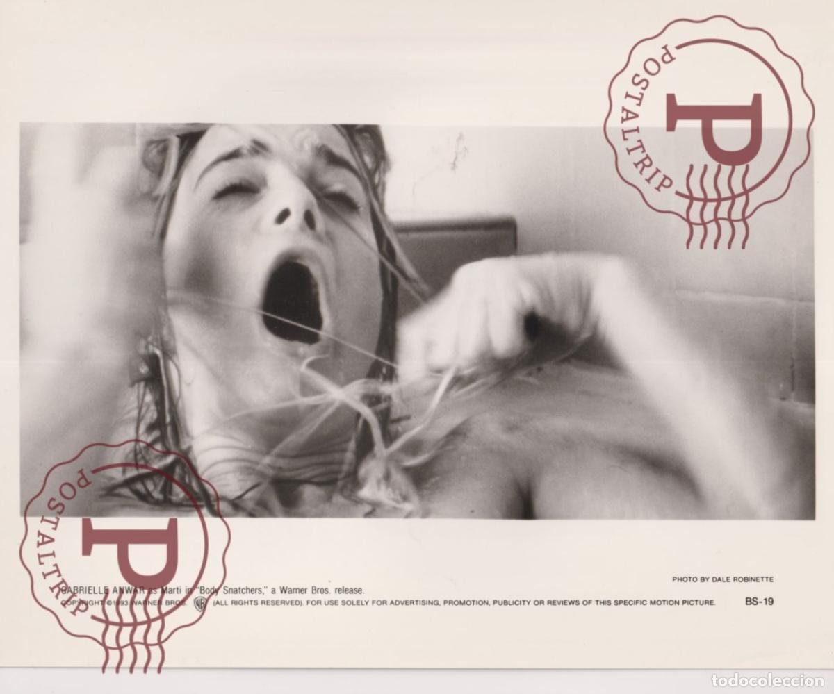 Cine: BODY SNATCHERS. CINE CINEMA. ACTOR ACTRESS. ACTRIZ. PHOTO FOTO +-24X18CM