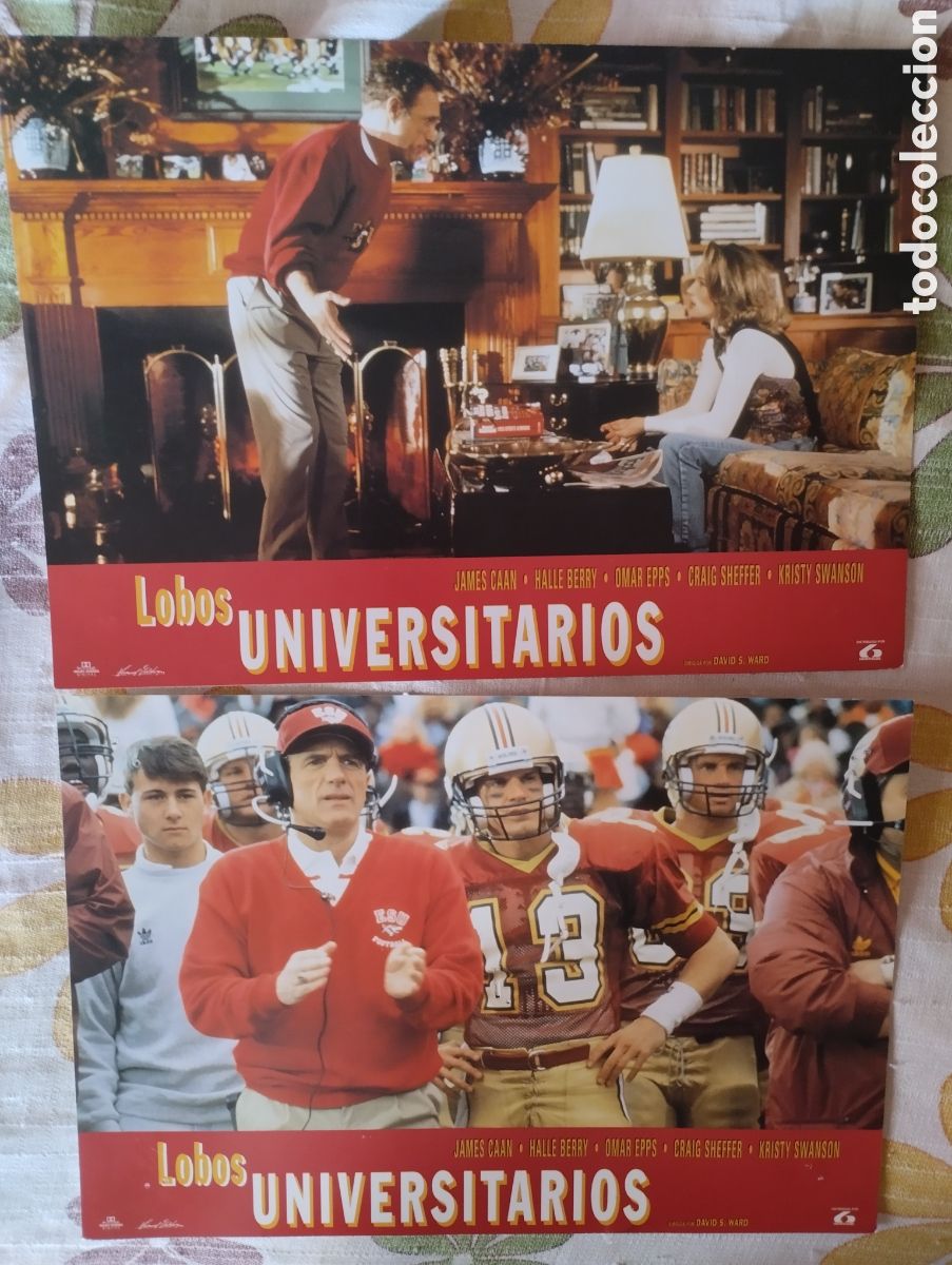 Cine: 6 FOTOCROMOS - LOBOS UNIVERSITARIOS