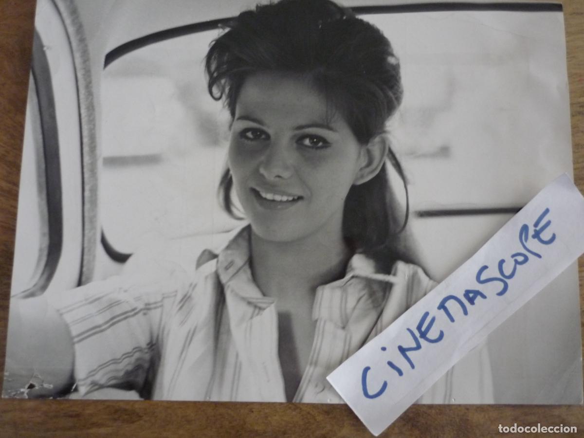 Cine: claudia cardinale - foto original b/n - italian cinema actress