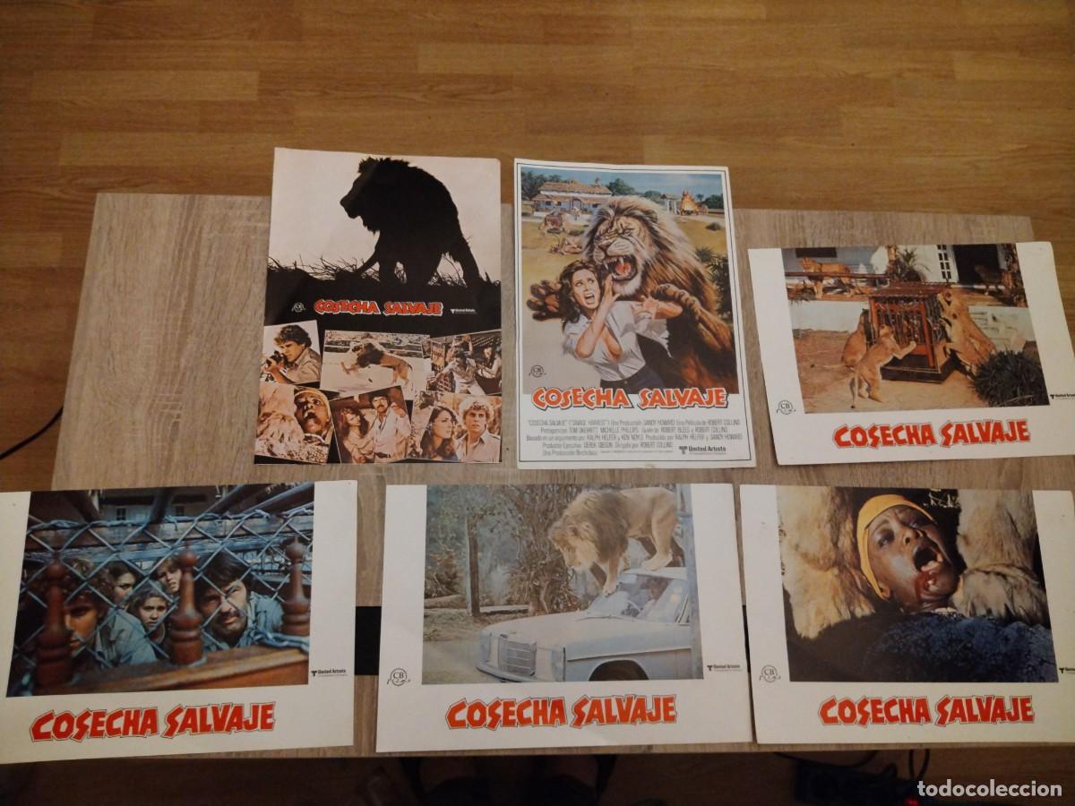 Cine: Cosecha salvaje - set 12 fotocromos