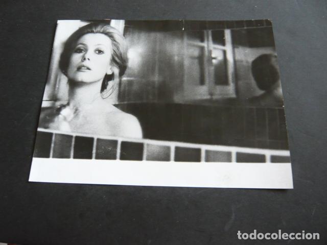 Cine: CATHERINE DENUEVE ACTRIZ ANTIGUA FOTOGRAFIA ORIGINAL 18 X 24 CM