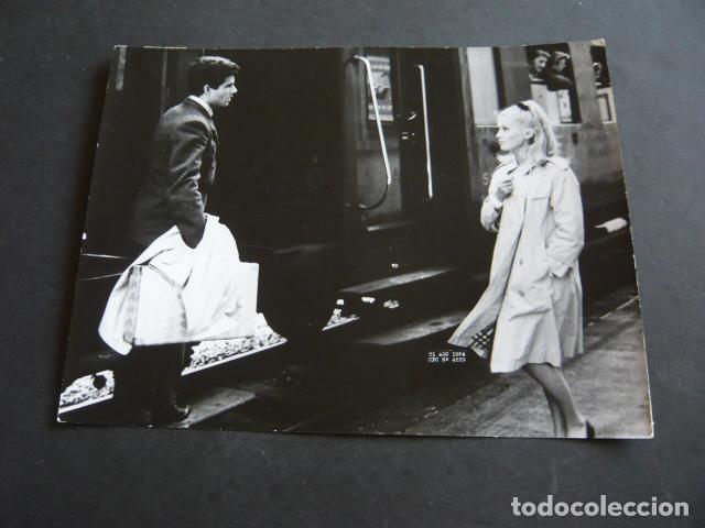 Cinema: CATHERINE DENEUVE ACTRIZ ANTIGUA FOTOGRAFIA ORIGINAL 18 X 24 CM