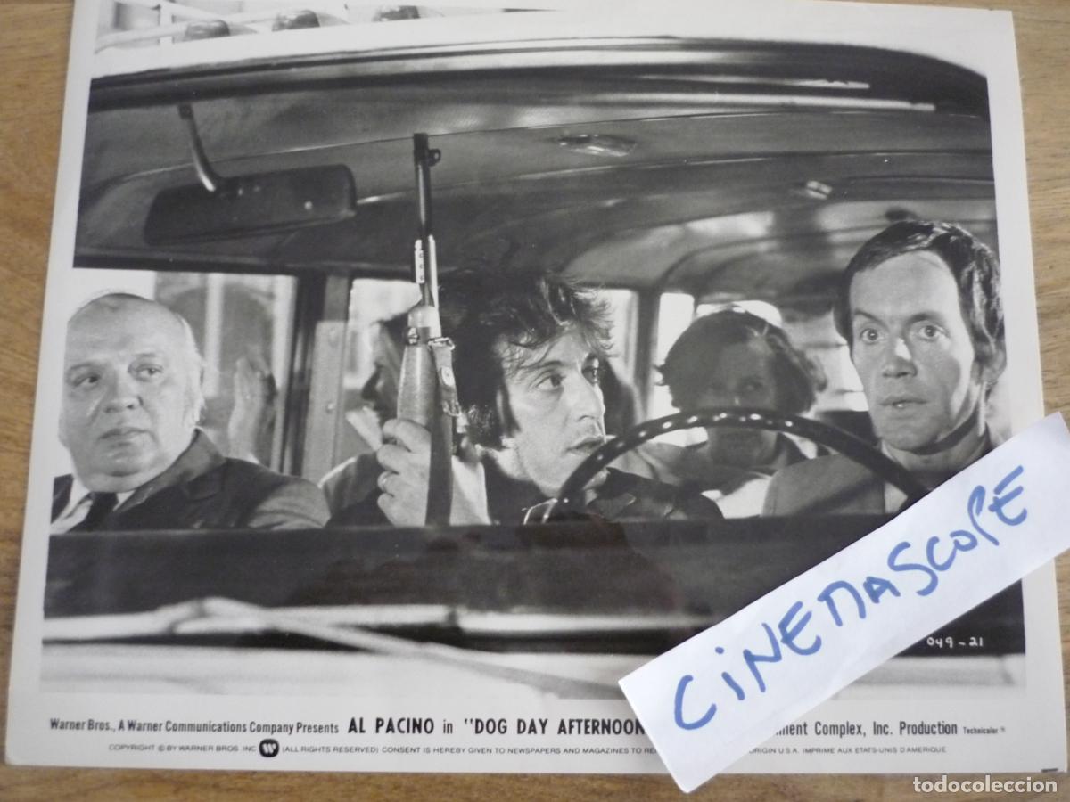 Cine: tarde de perros - foto original b/n - al pacino sidney lumet dog day afternoon