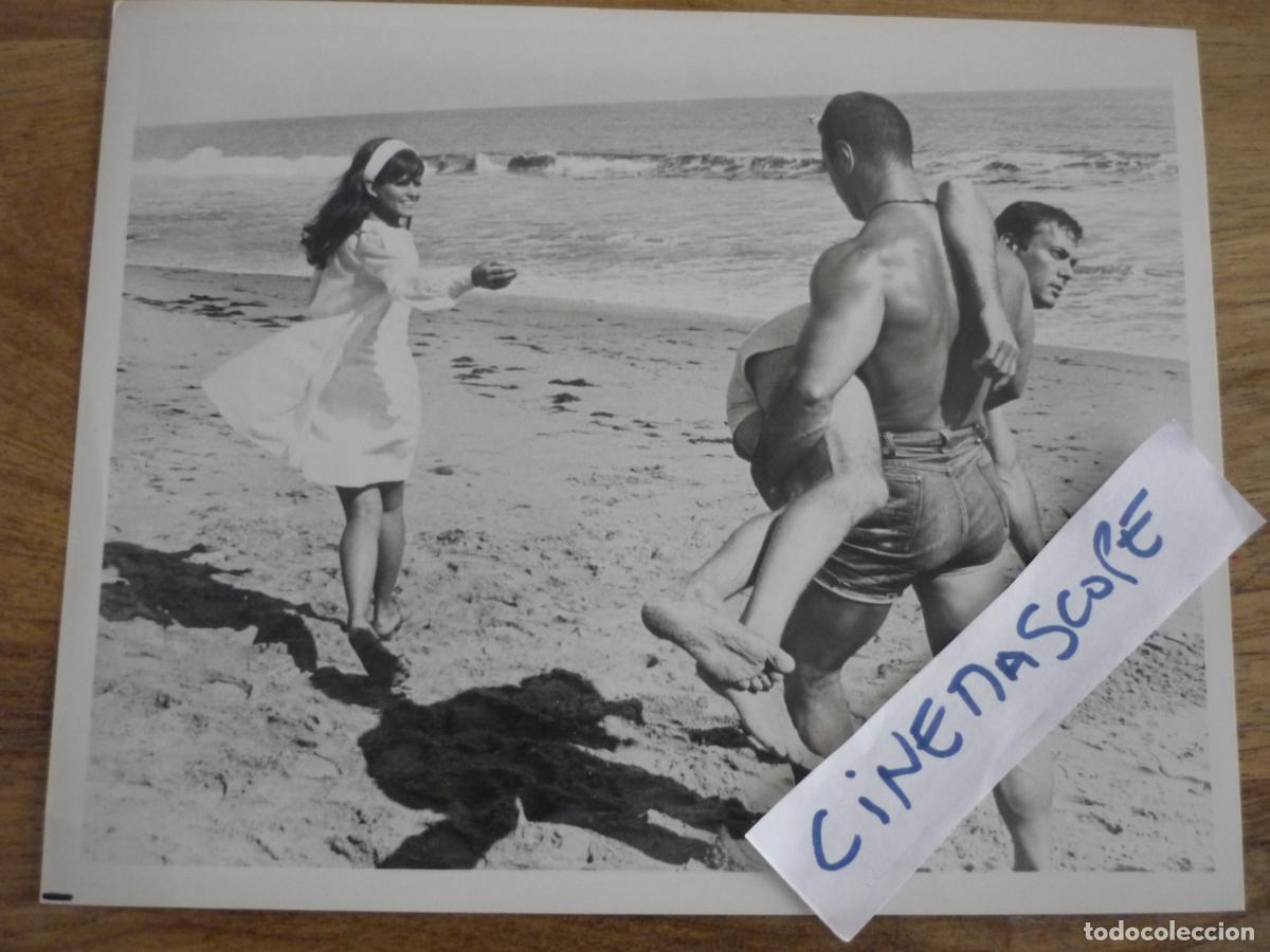 Cine: no hagan olas - foto original b/n - claudia cardinale tony curtis Don't Make Waves