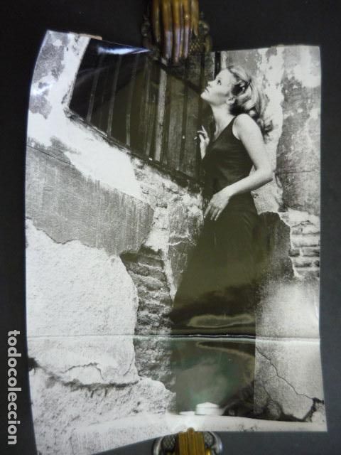 Cine: DIDI FITZPATRICK SHERMAN ACTRIZ ANTIGUA FOTOGRAFIA 24 X 18 CM