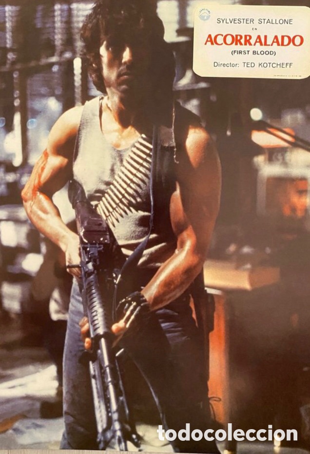 Cine: FOTOCROMOS. ACORRALADO