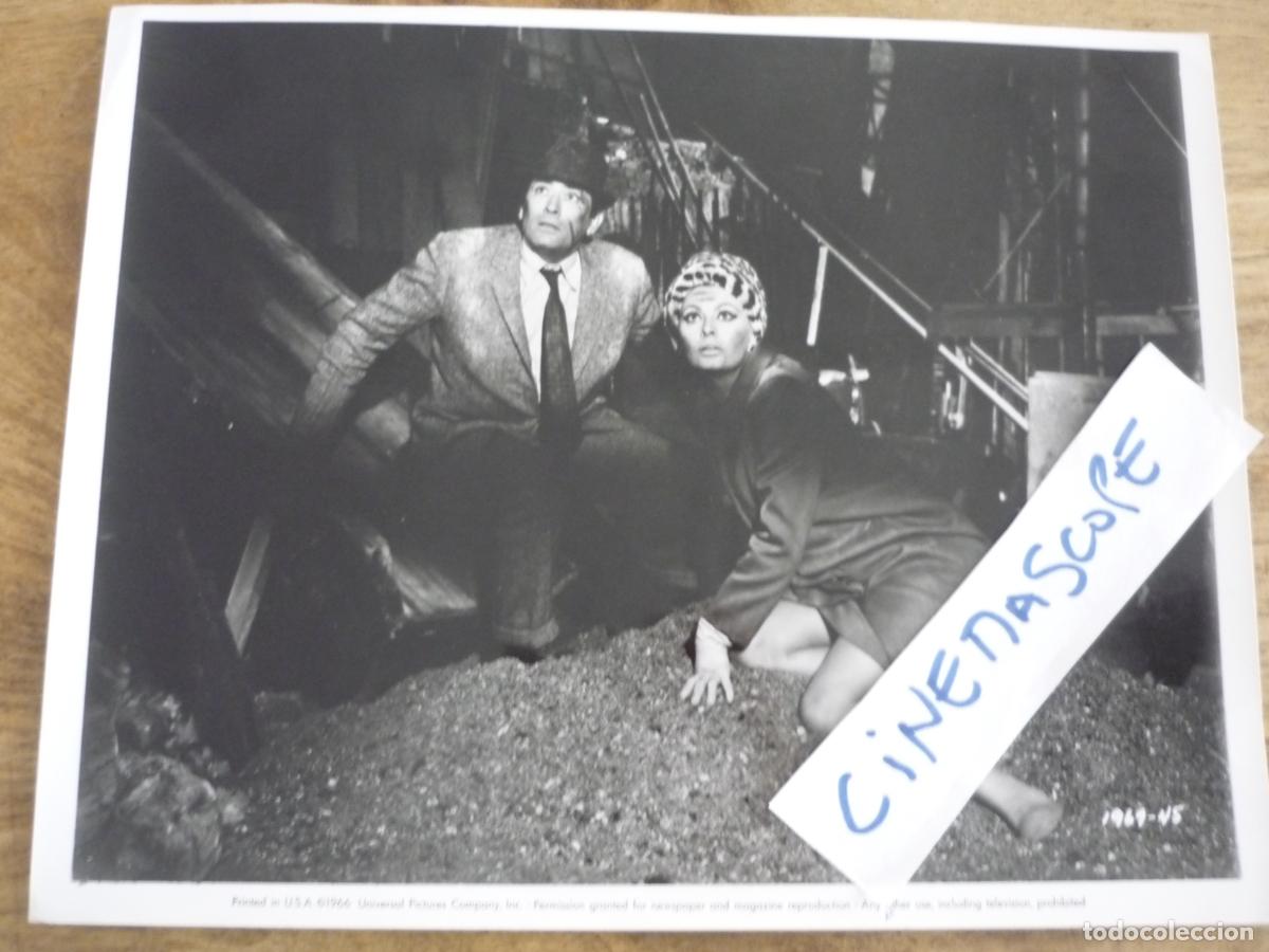 Cine: sofia sophia loren gregory peck - foto original b/n - arabesque