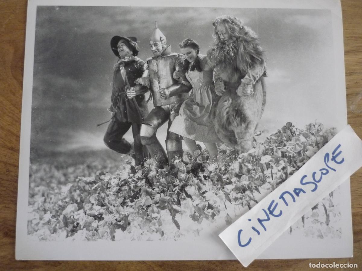 Cine: el mago de oz - foto original b/n - The Wizard of Oz judy garland