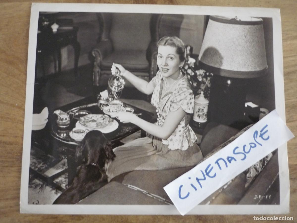 Cine: joan fontaine - foto original b/n - descanso rodaje