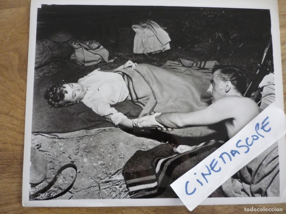 Cine: las minas del rey salomon - foto original b/n - deborah kerr stewart granger