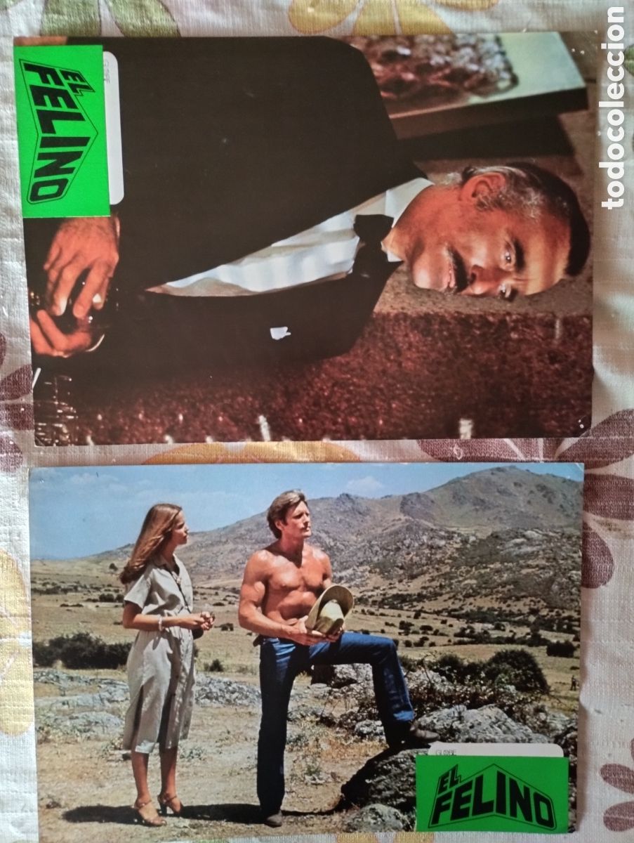 Cine: 10 FOTOCROMOS - EL FELINO