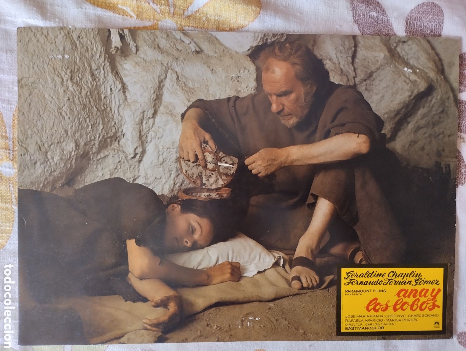 Cine: 5 FOTOCROMOS - ANA Y LOS LOBOS