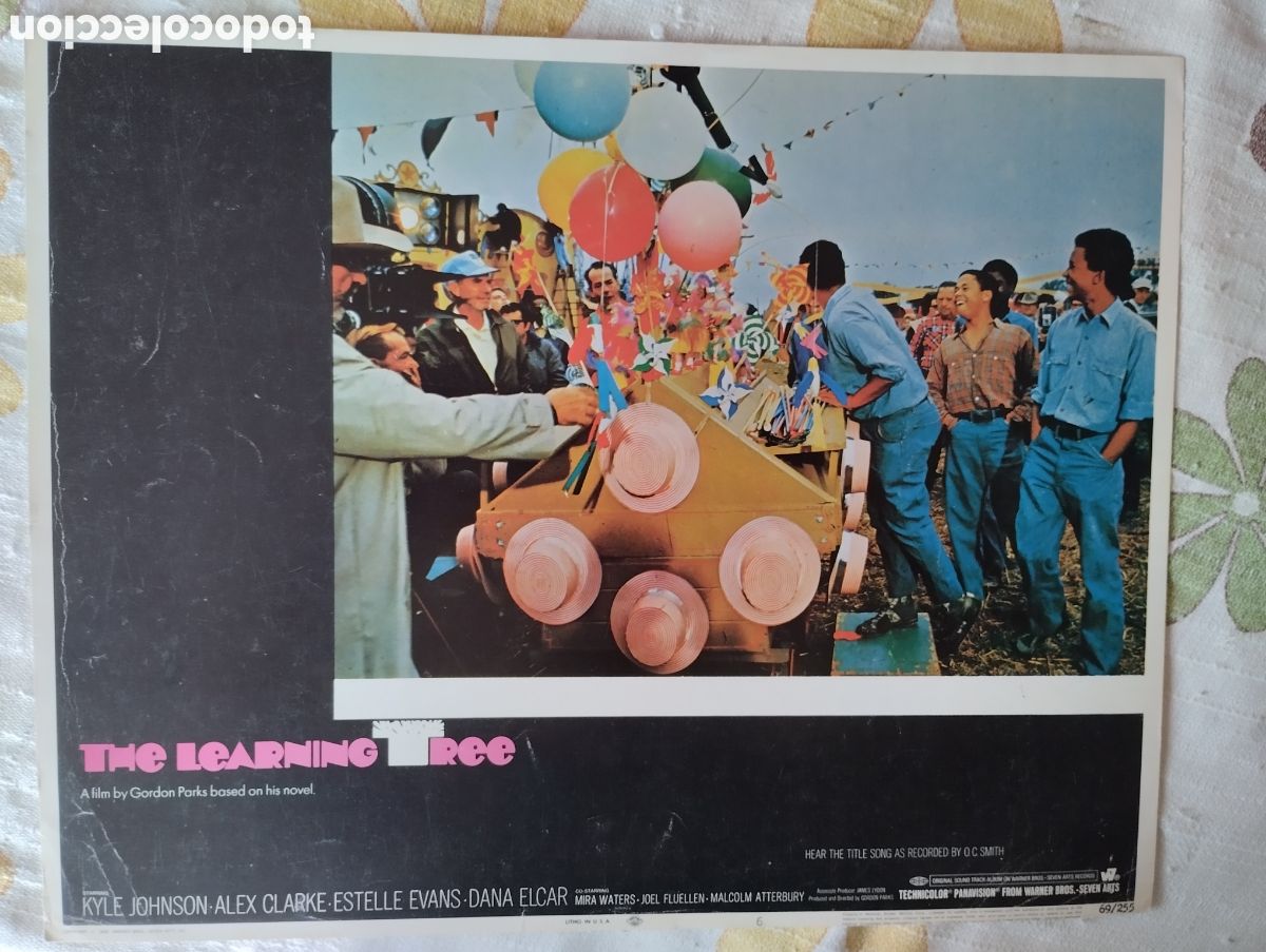 Cine: 2 LOBBY CARDS AMERICANOS