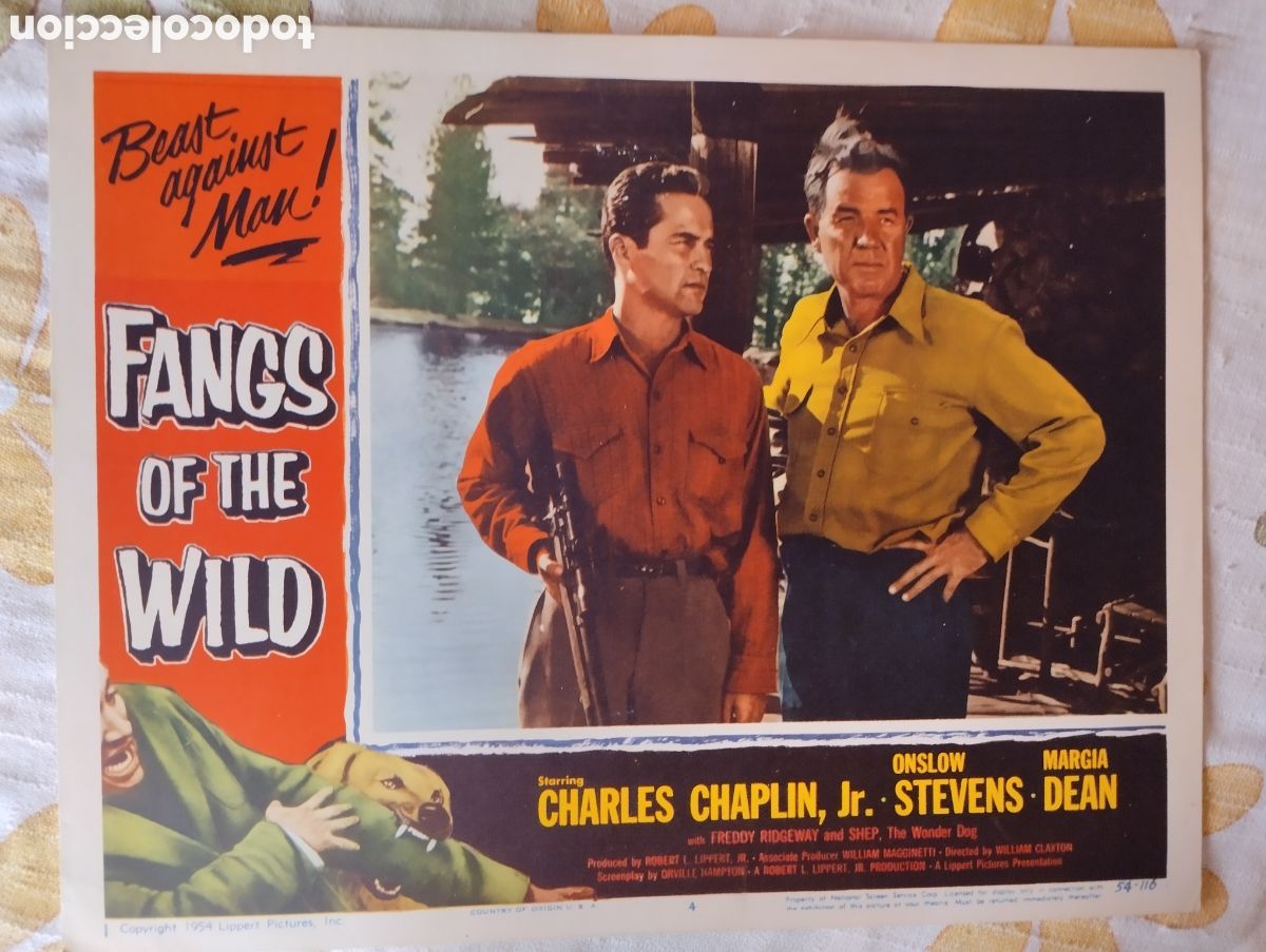 Cine: LOBBY CARD AMERICANO