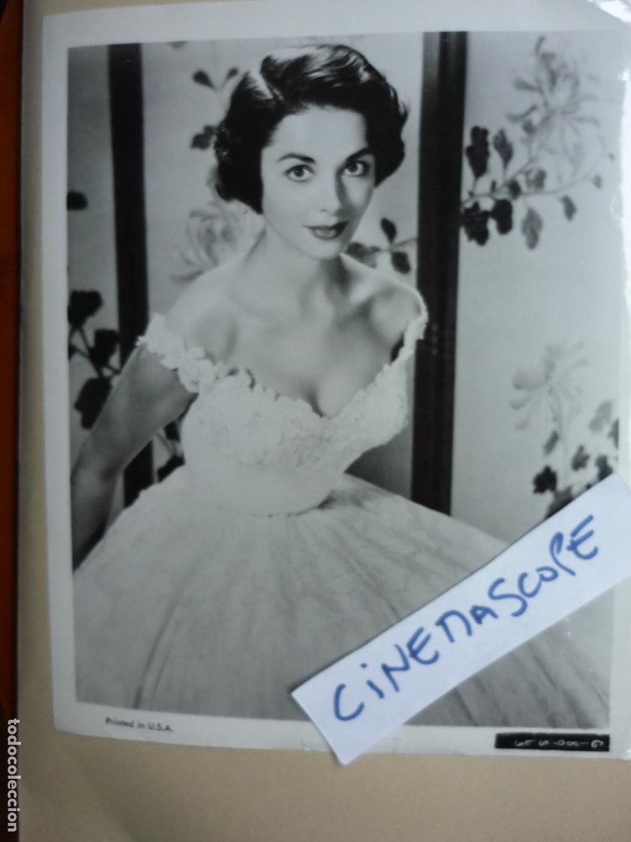 Cine: dana wynter - foto original b/n - cinema actress - The View from Pompey's Head