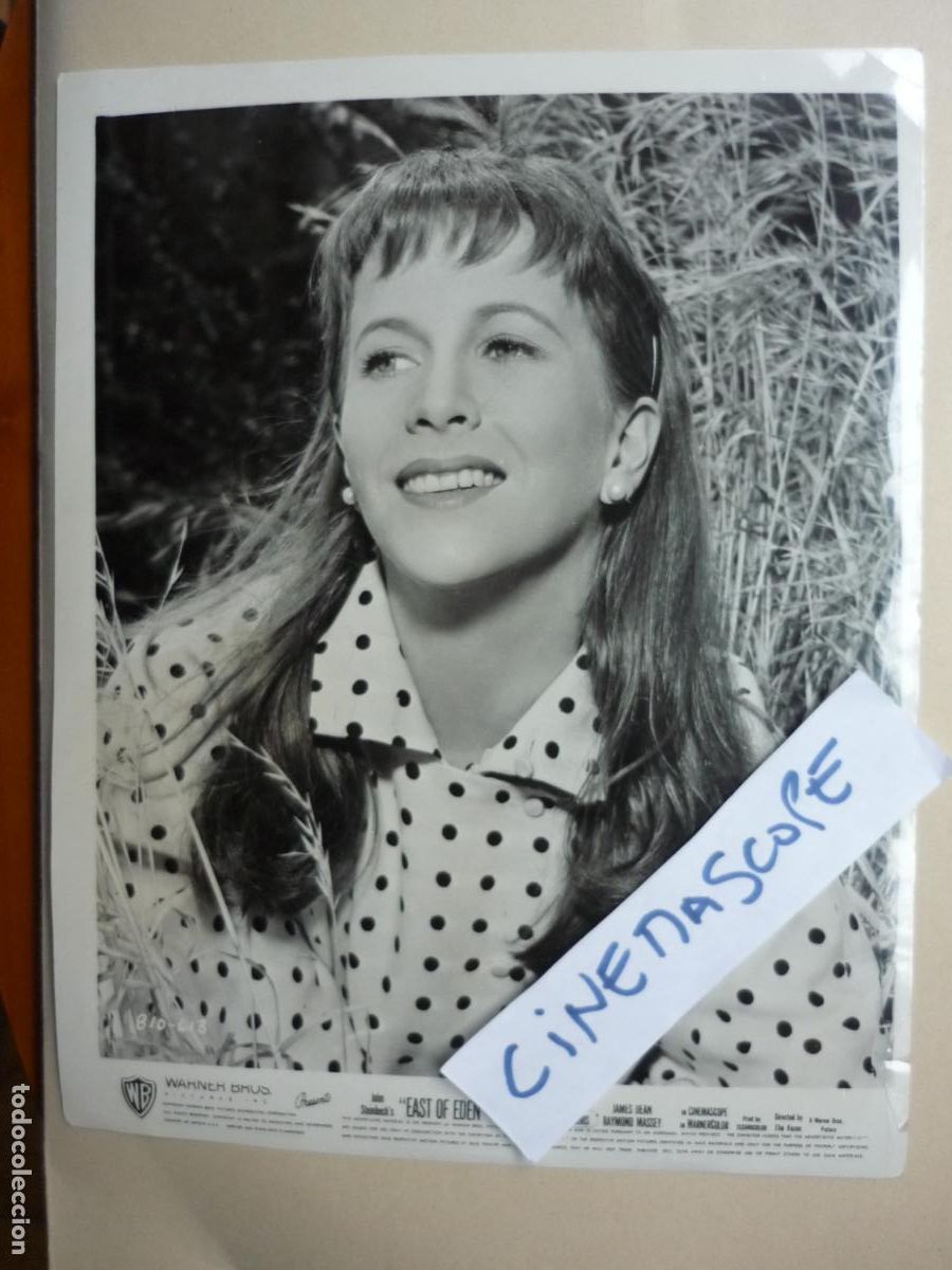 Cine: julie harris - foto original b/n - cinema actress - east of eden