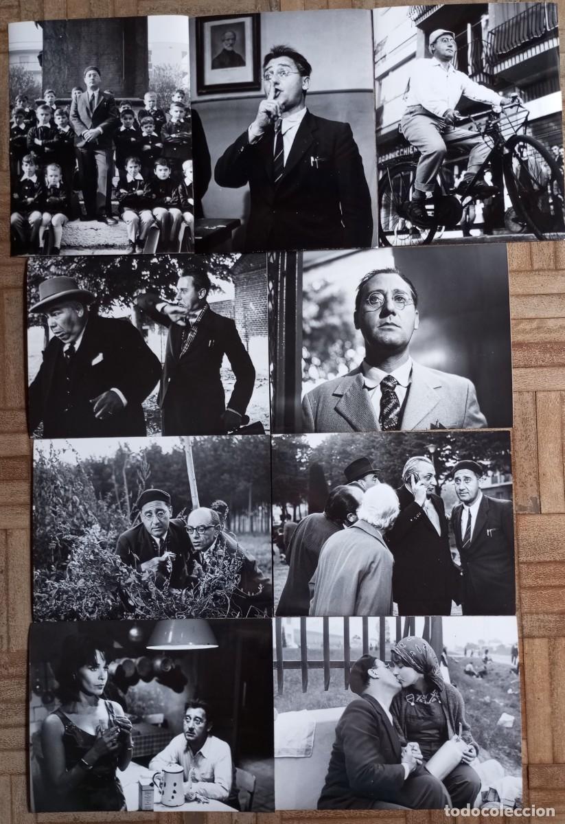 Cine: EL MAESTRO DE VIGEVANO. 19 FOTOS. ALBERTO SORDI, CLAIRE BLOOM