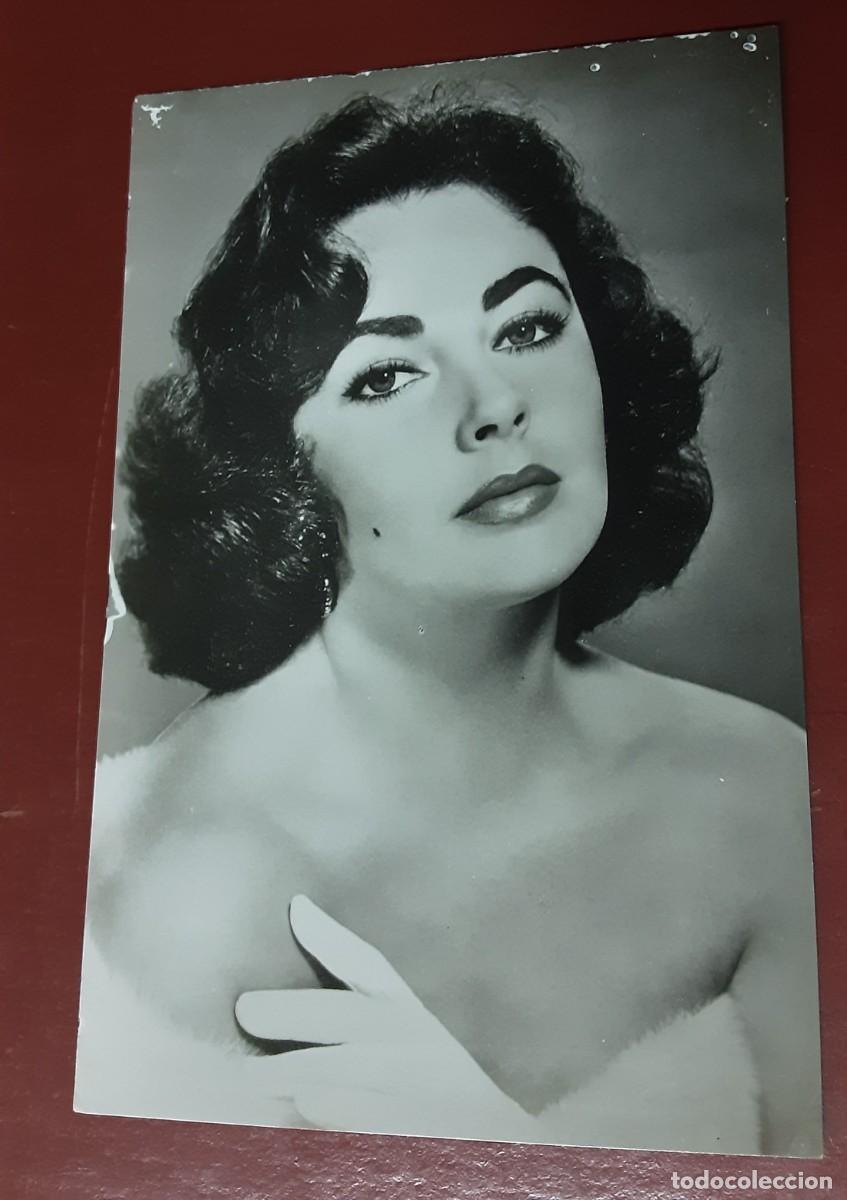 Cine: ELIZABETH TAYLOR, POSTAL M.G.M. a&ntilde;o 1960.