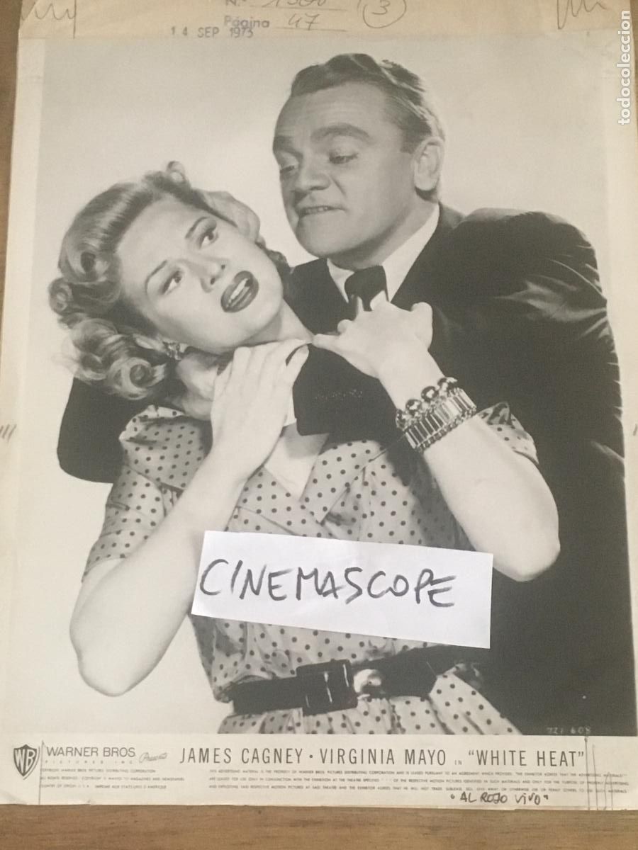 Cine: james cagney virginia mayo white heat al rojo vivo foto original antigua