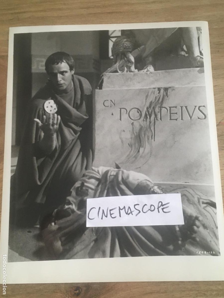 Cine: julio cesar julius caesar marlon brando foto original antigua