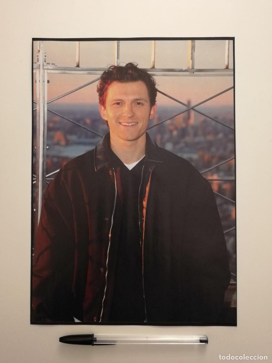 Cine: LAMINA ACARTONADA -A4- Spider-Man - SPIDERMAN - MARVEL - TOM HOLLAND