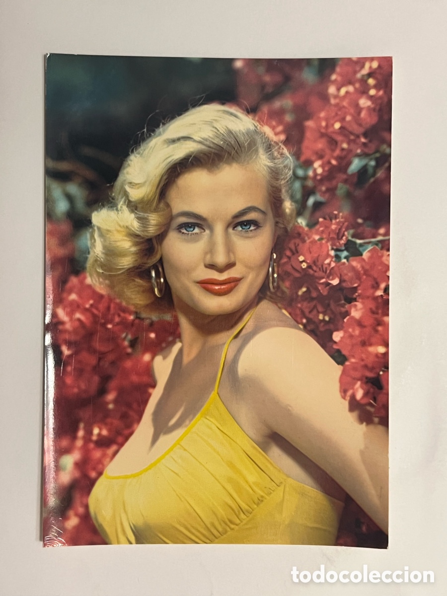 Cine: ANITA EKBERG. Actriz Sueca. La Dolce Vita. Postal Rotalcolor. Edici&oacute;n Italiana