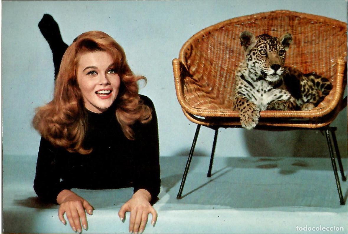 Cine: Ann Margret n&ordm; 27 . Edicion Oscarcolor. no escrita. Vell i Bell