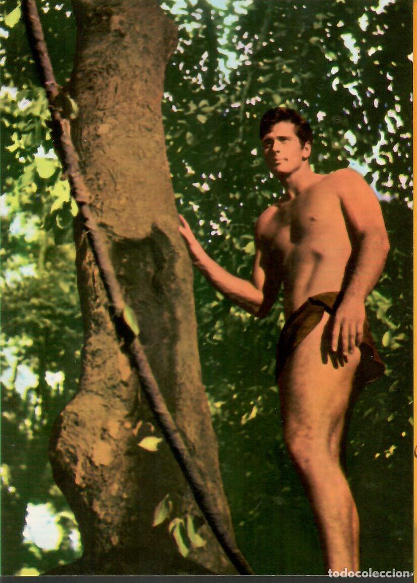 Cine: Ron Ely. TARZAN n&ordm; 1588 . Edicion Oscarcolor para Klasik Kards. no escrita. Vell i Bell