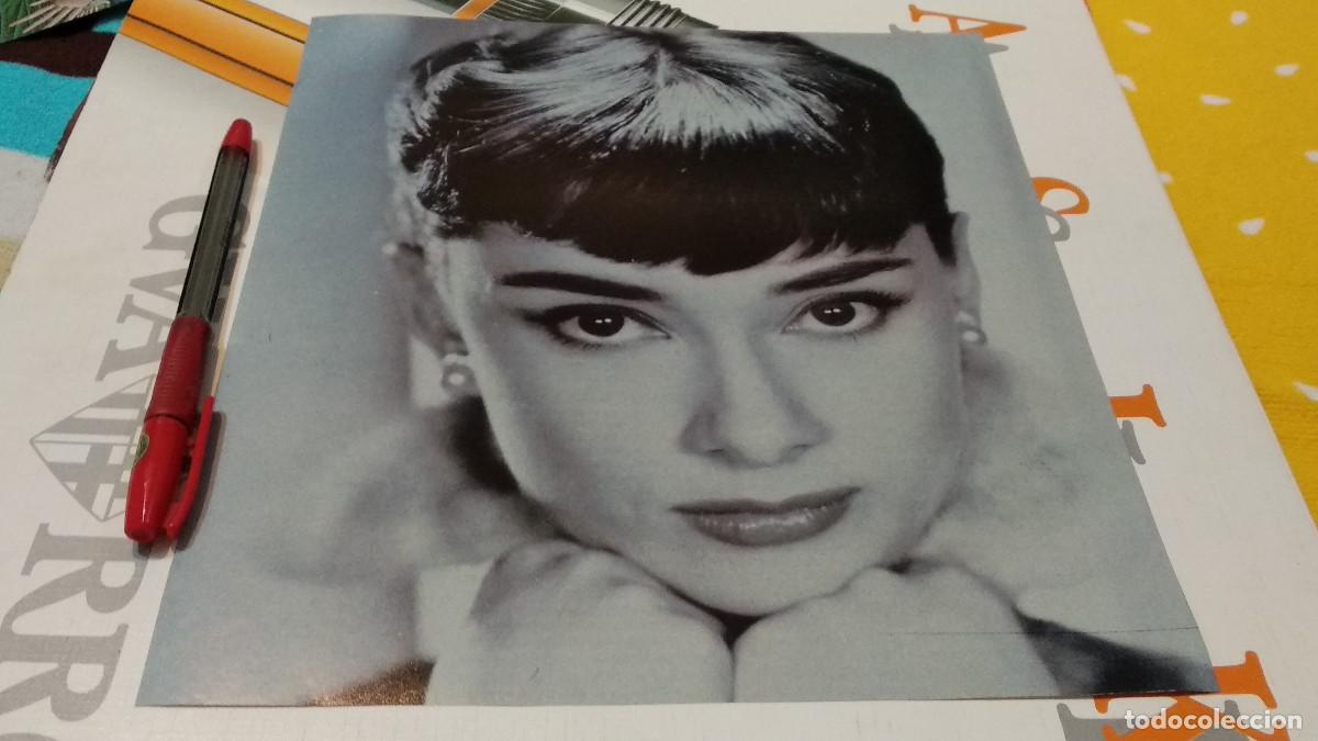 Cine: AUDREY HEPBURN- RECORTE REVISTA HOJA 1992 -