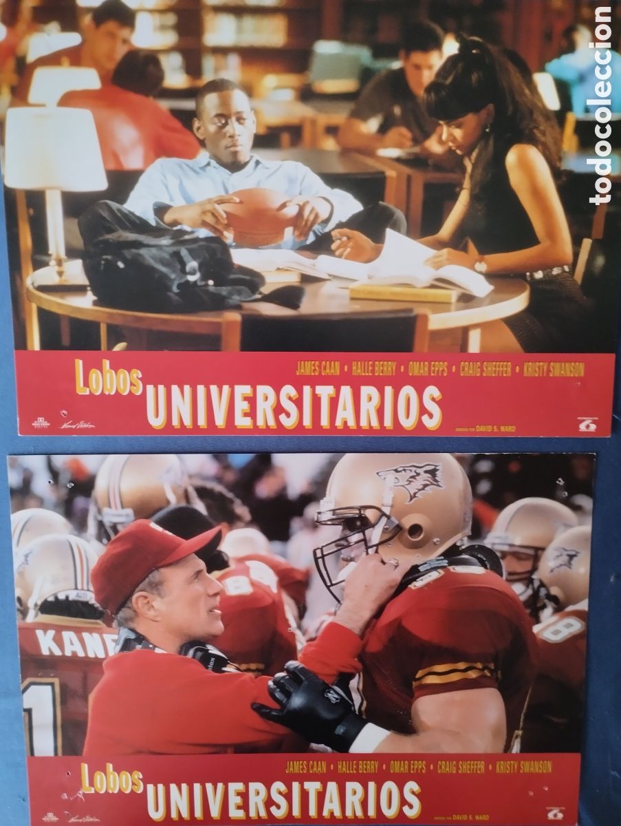 Cine: 6 FOTOCROMOS - LOBOS UNIVERSITARIOS