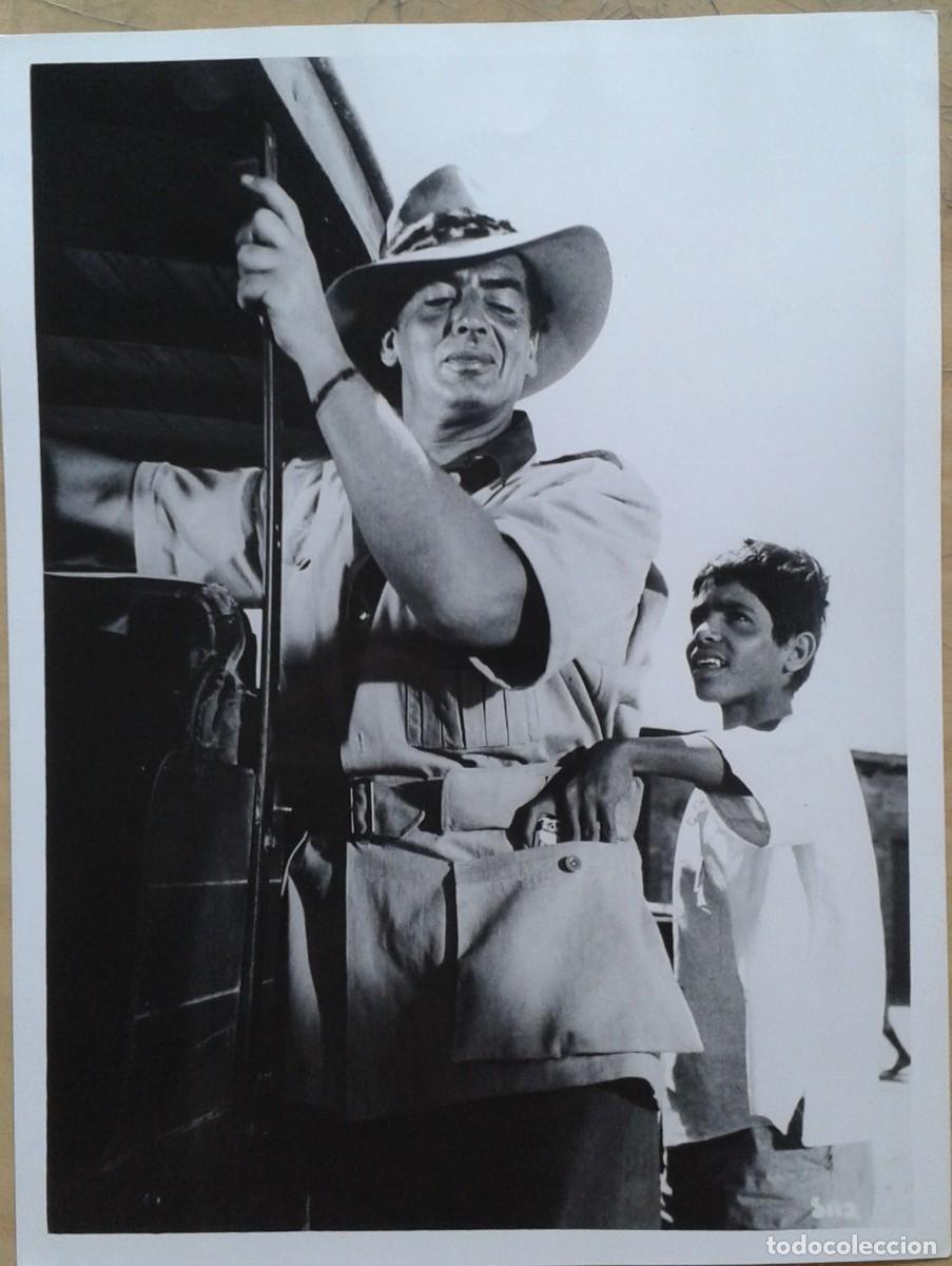 Cine: SAFARI. FOTO 18X24. VICTOR MATURE