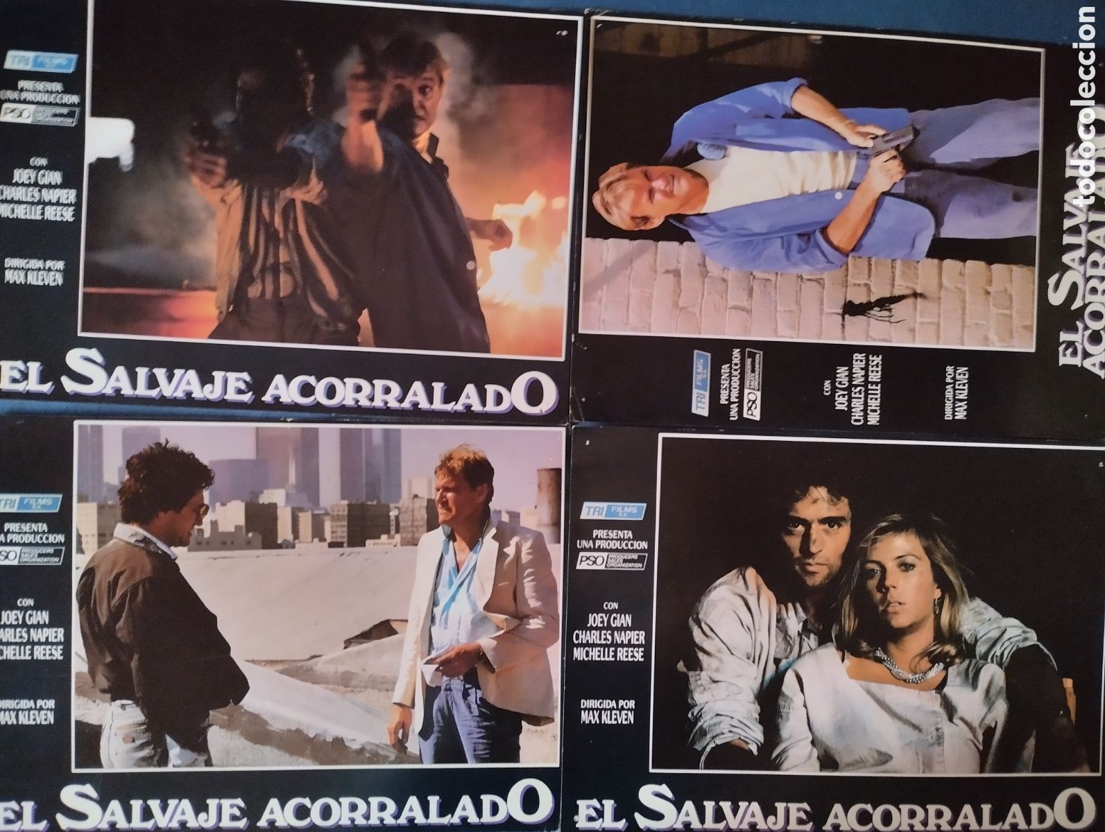 Cine: 8 FOTOCROMOS - EL SALVAJE ACORRALADO