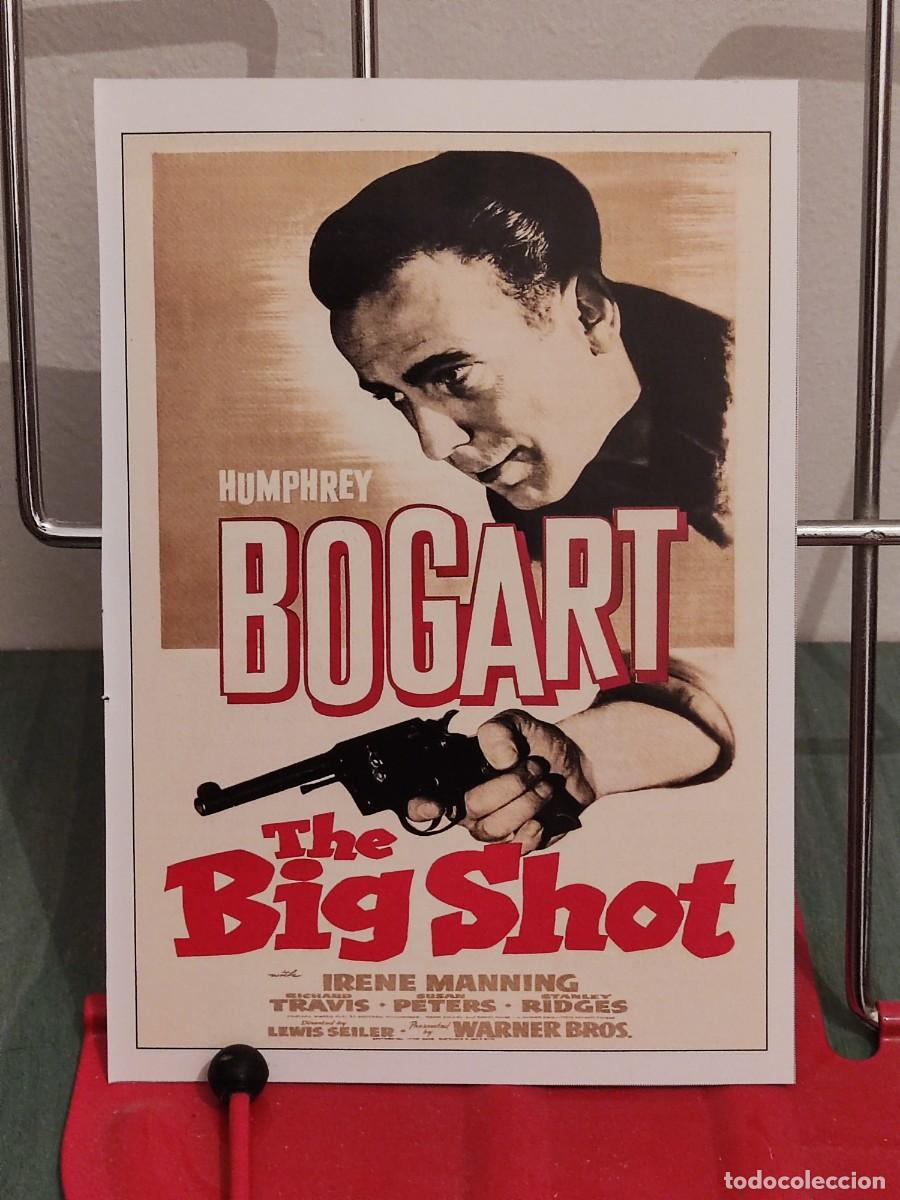 Cine: Un gangster sin destino (The big shot) . Ficha revista Accion cine