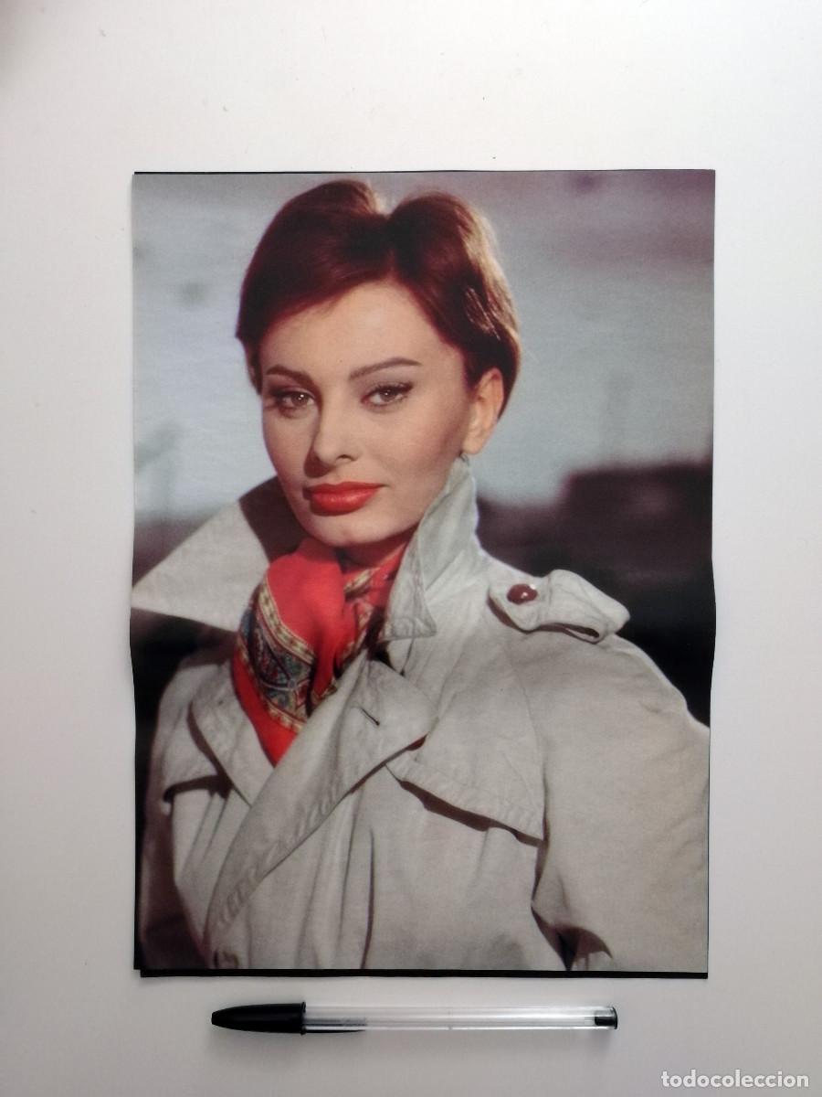 Cine: LAMINA ACARTONADA -A4- SOPHIA LOREN - SOFIA