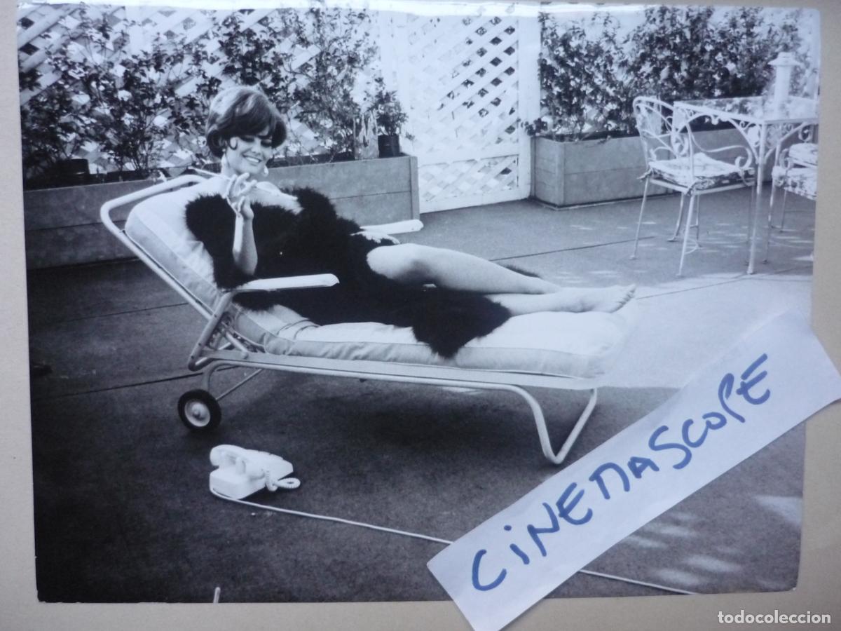 Cine: claudia cardinale - foto original b/n - italian cinema actress