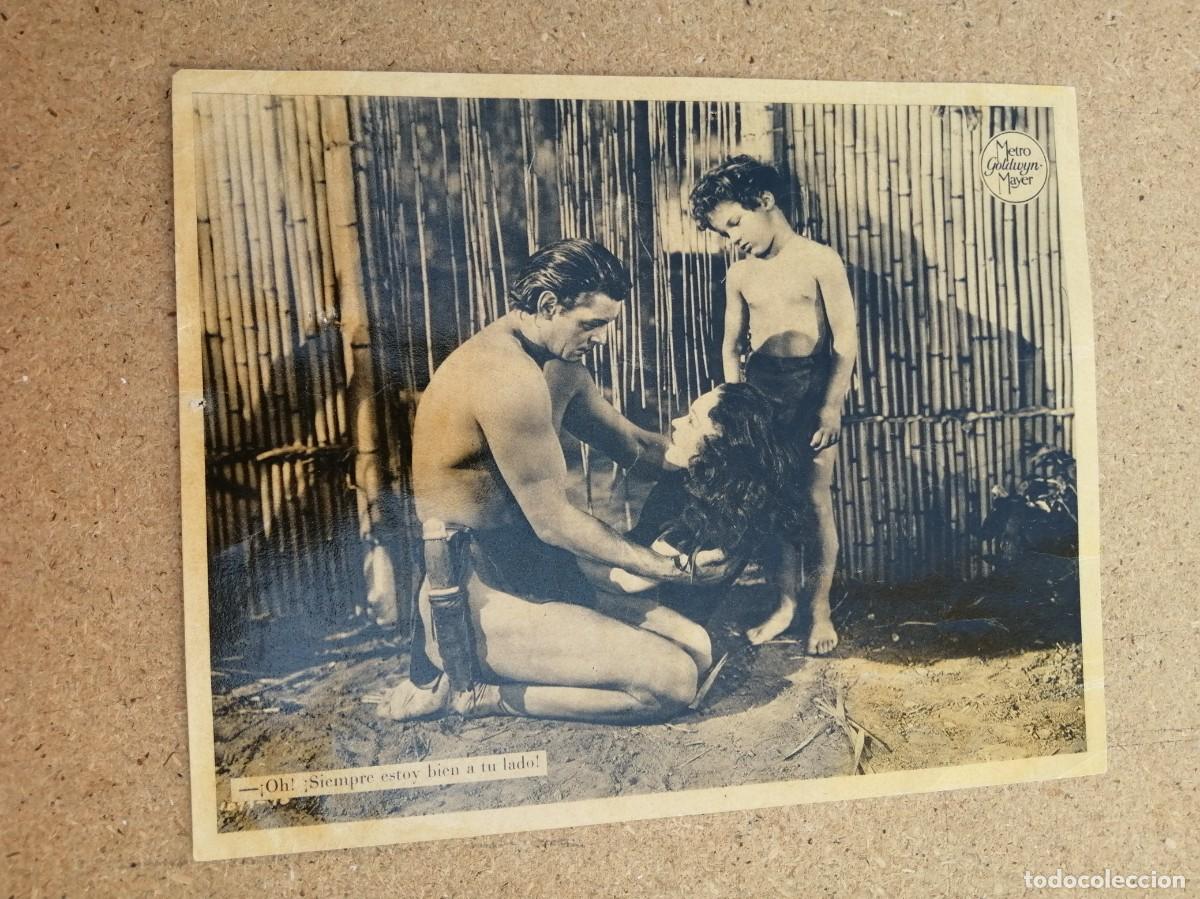 Cine: FOTOCROMO. TARZAN (JOHNNY WEISSMULLER)