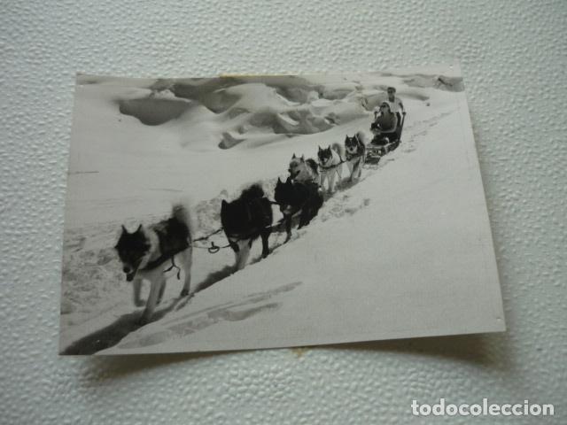 Cinema: BUSCADORES DE ORO EN LAS CUMBRES BLANCAS ESCENA DE PELICULA ANTIGUA FOTOGRAFIA ORIGINAL 8 X 12,5 CM
