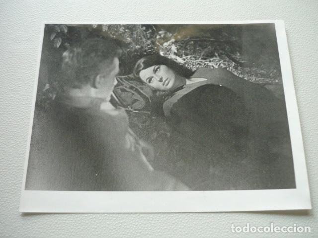 Cine: CINCO MUJERES MARCADAS SILVANA MANGANO ESCENA DE PELICULA ANTIGUA FOTOGRAFIA ORIGINAL 24 X 18 CM