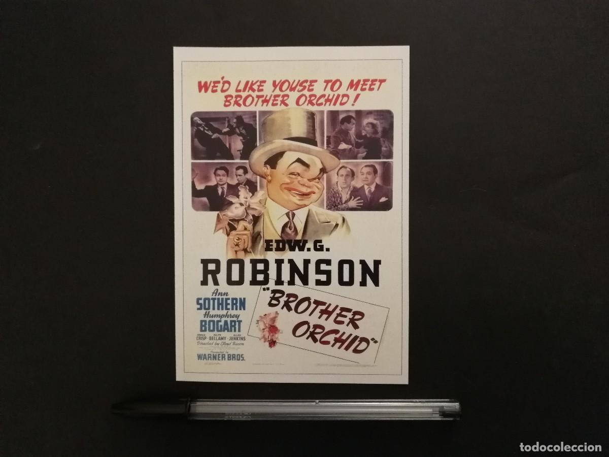 Cine: FICHA COLECCIONABLE -10*15- El hermano orqu&iacute;dea - EDWARD G ROBINSON