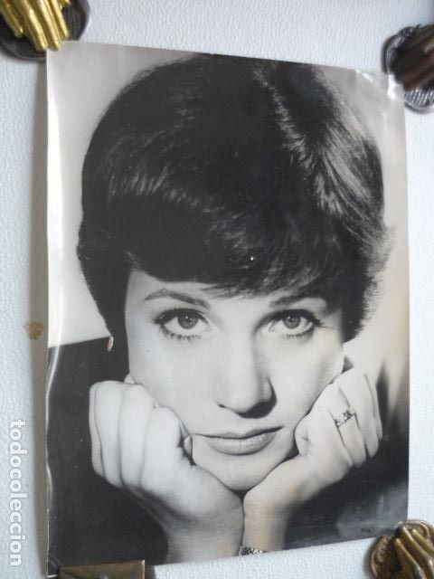 Cinema: JULIE ANDREWS ACTRIZ ANTIGUA FOTOGRAFIA ORIGINAL 18 X 24 CM