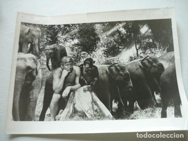Cinema: DANNY MILLER ACTOR EN TAZAN DE LOS MONOS ANTIGUA FOTOGRAFIA ORIGINAL 18 X 24 CM