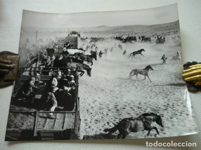 Cine: LAWRENCE DE ARABIA ESCENA DE LA PELICULA ANTIGUA FOTOGRAFIA ORIGINAL 24 X 19 CM