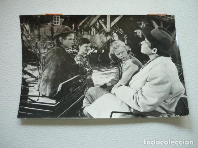 Cinema: LAS MUCHACHAS DE IMMENHOF ESCENA DE LA PELICULA ANTIGUA FOTOGRAFIA ORIGINAL 18 X 12 CM