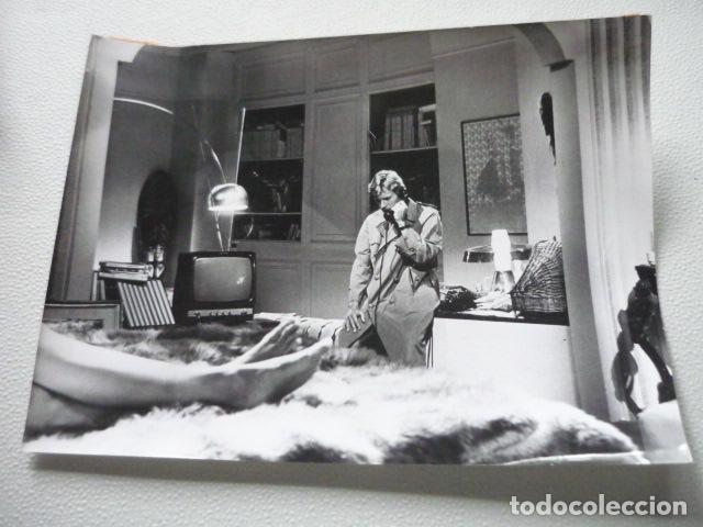 Cinema: EL GATO DE NUEVE COLAS ESCENA DE LA PELICULA ANTIGUA FOTOGRAFIA ORIGINAL 18 X 24 CM