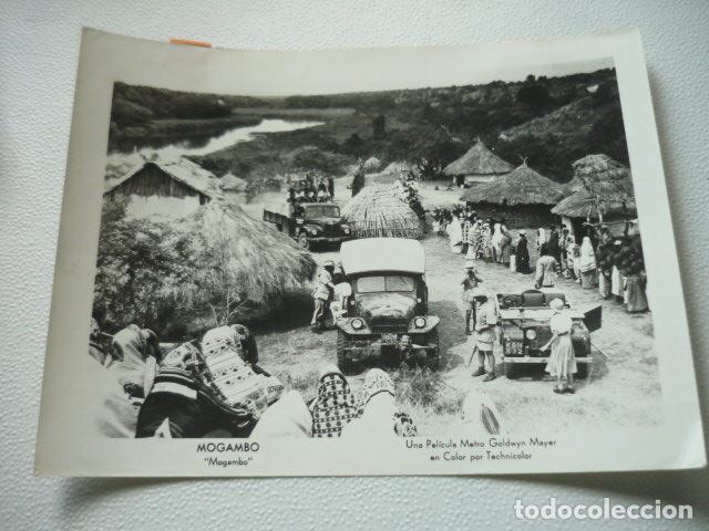 Kino: MOGAMBO ESCENA DE PELICULA ANTIGUA FOTOGRAFIA ORIGINAL 18 X 24 CM