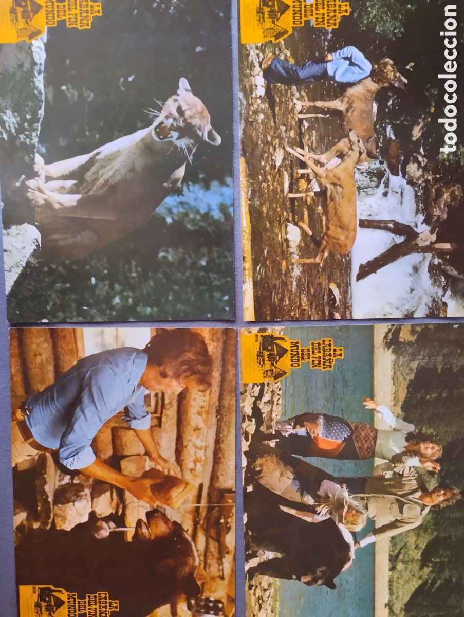 Cine: 12 FOTOCROMOS - LA CABA&Ntilde;A DEL FIN DEL MUNDO
