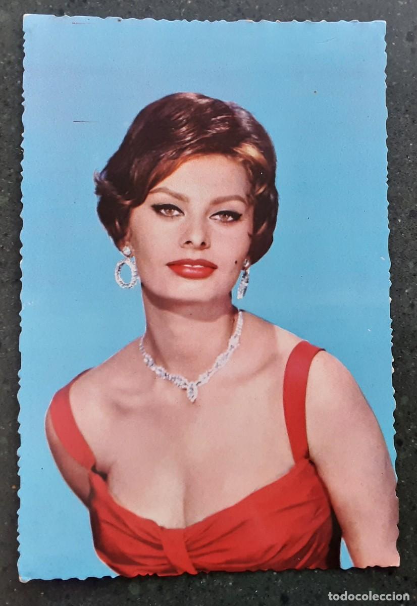Cine: TARJETA POSTAL DE SOFIA LOREN, PARAMOUNT PICTURES &rdquo; CINTIA&rdquo;.