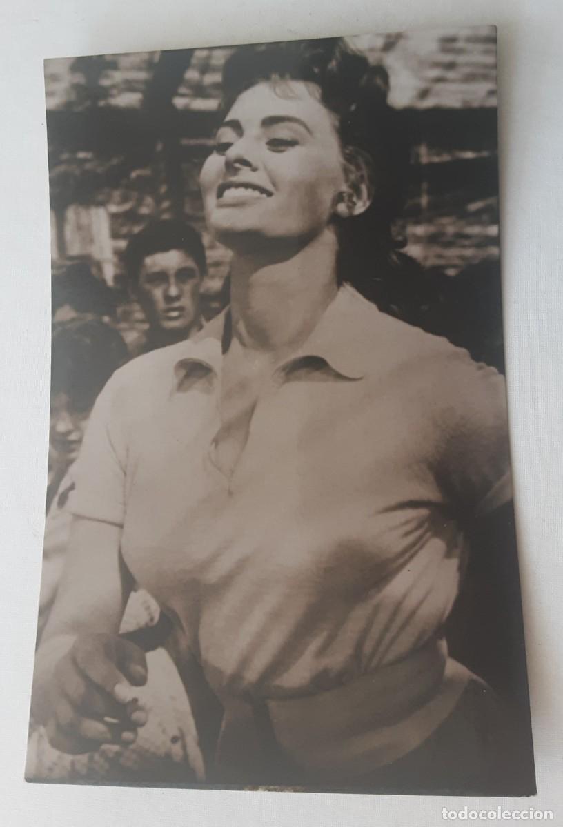 Cine: TARJETA POSTAL DE SOFIA LOREN. EDICIONES J.R.B.
